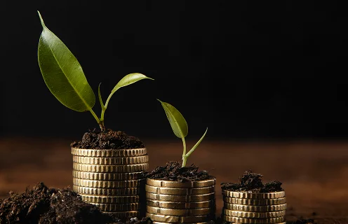 Investment Opportunities